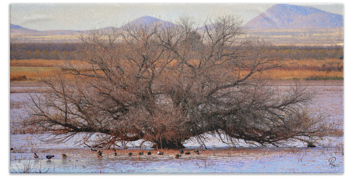 Fine Art Bath Towel featuring the photograph A Tree At Whitewater Draw by Robert Harris