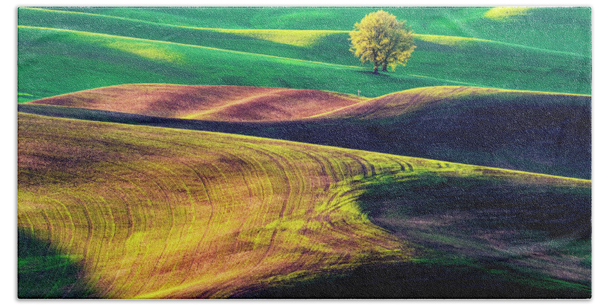 Palouse Bath Towel featuring the photograph A tree on rolling hills by Yoshiki Nakamura