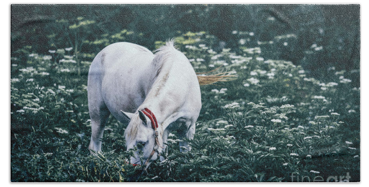 Horse Bath Towel featuring the photograph A white horse grazes on a meadow II by Dimitar Hristov