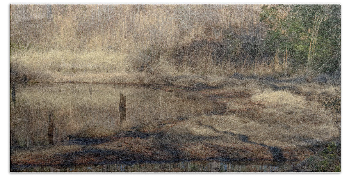 Piedmont National Wildlife Refuge Bath Towel featuring the photograph A Winter Grassed Pond by Ed Williams