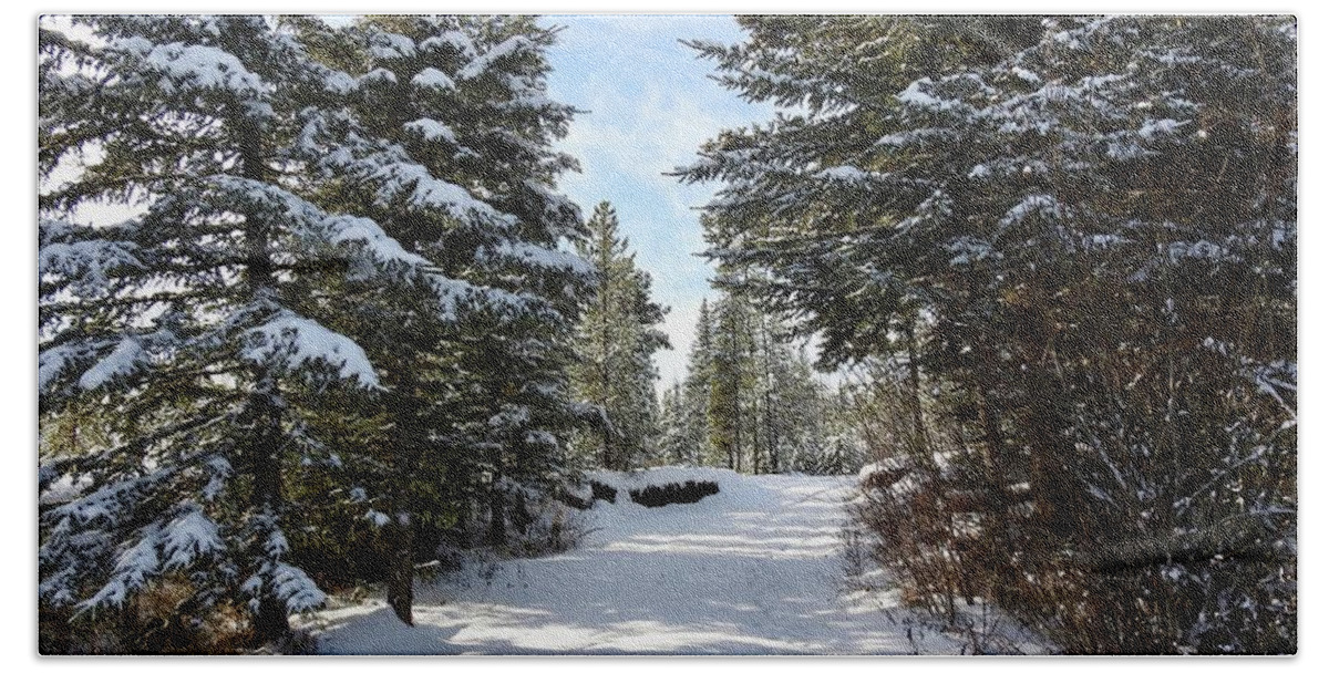 A Winter Trail Bath Towel featuring the photograph A Winter Trail by Nicola Finch