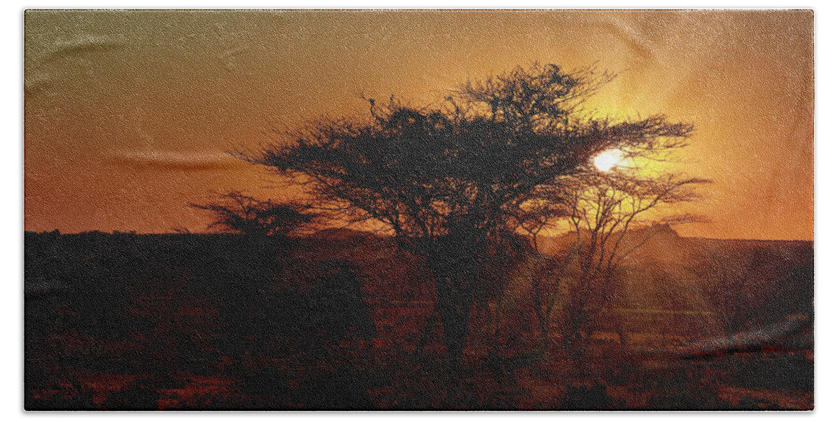 Africa Hand Towel featuring the photograph Acacia sunset Deopa by Matt Cohen