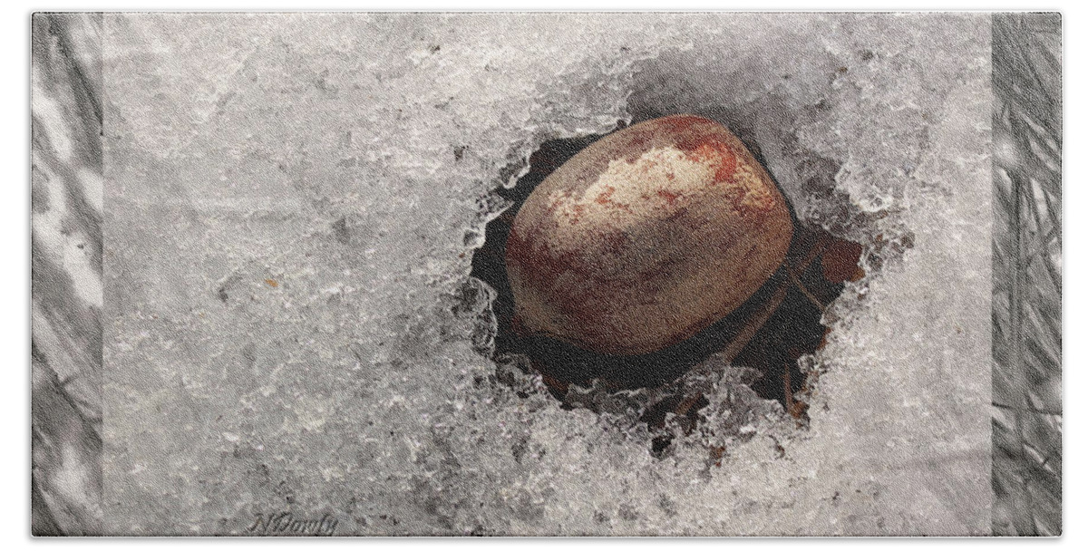 Acorn In Ice Hand Towel featuring the photograph Acorn in Ice by Natalie Dowty