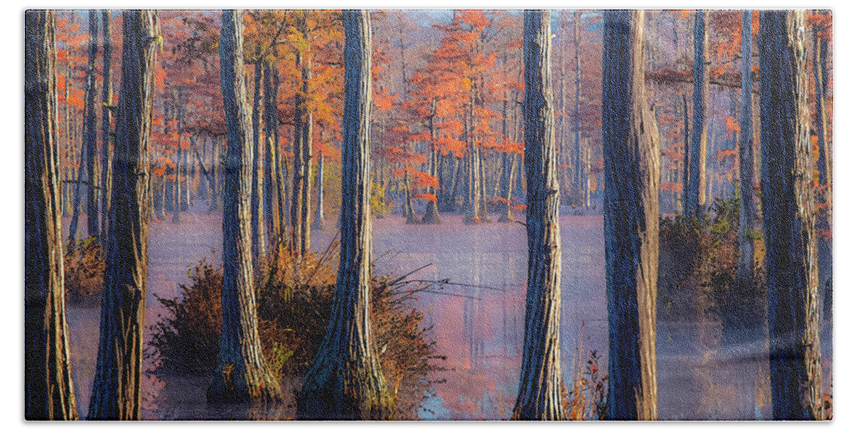 Cypress Trees Hand Towel featuring the photograph Adams Mill Pond Panorama 09 by Jim Dollar