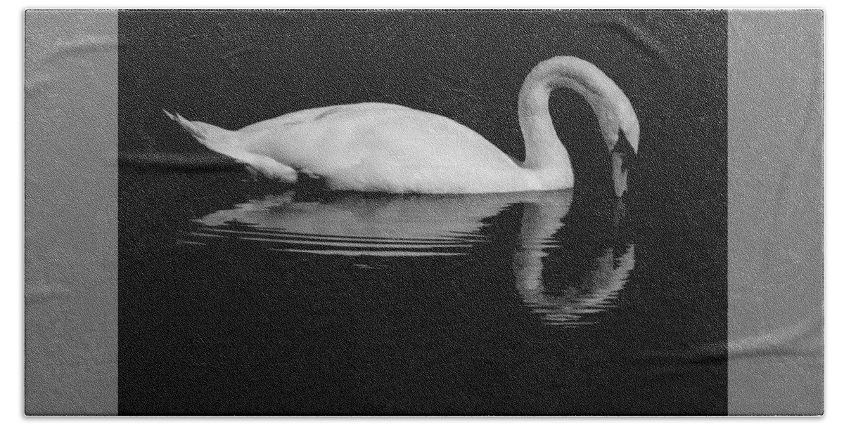 Mute Swan Bath Sheet featuring the photograph Alone or Lonely by Linda Bonaccorsi