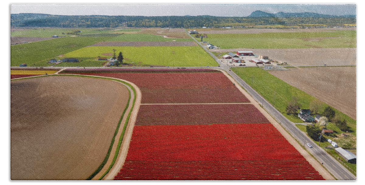 Skagit Valley Tulips Bath Towel featuring the photograph Aerial Tulips5 by Michael Rauwolf