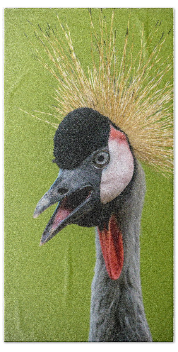 African Crowned Crane Bath Towel featuring the photograph African Crowned Crane by Mark Mille
