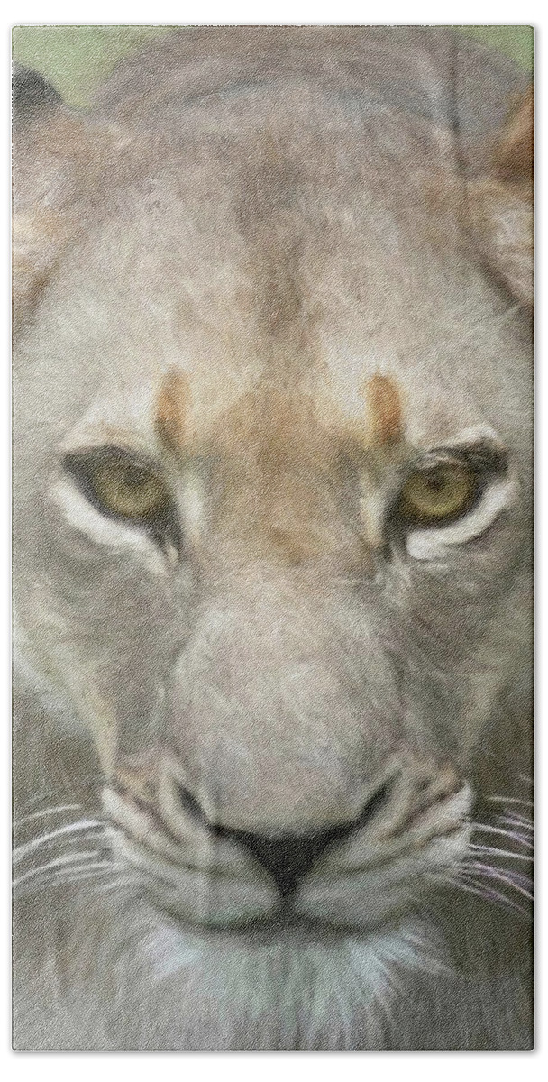 Lion Bath Towel featuring the photograph African Lioness Up Close Portrait by Rebecca Herranen