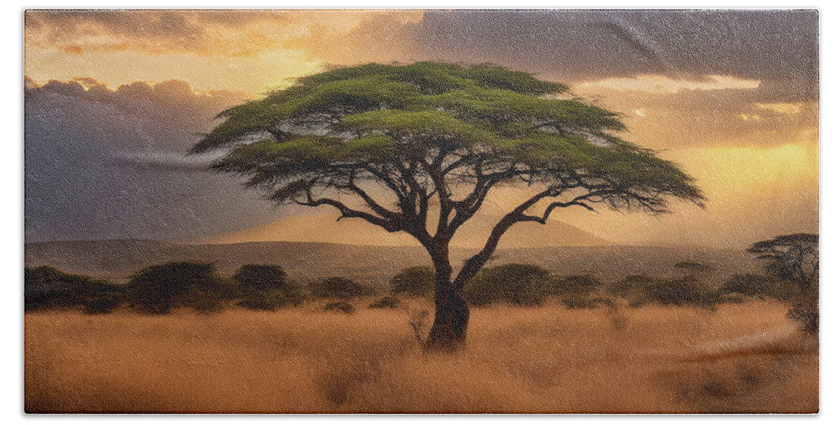 African Landscape Hand Towel featuring the digital art African Sunset Sky Over a Lone Acacia Tree by Russ Harris