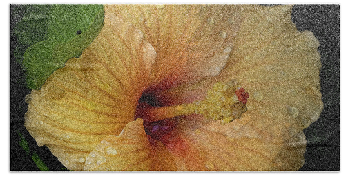 Hibiscus Bath Towel featuring the photograph After the Rain by M Kathleen Warren