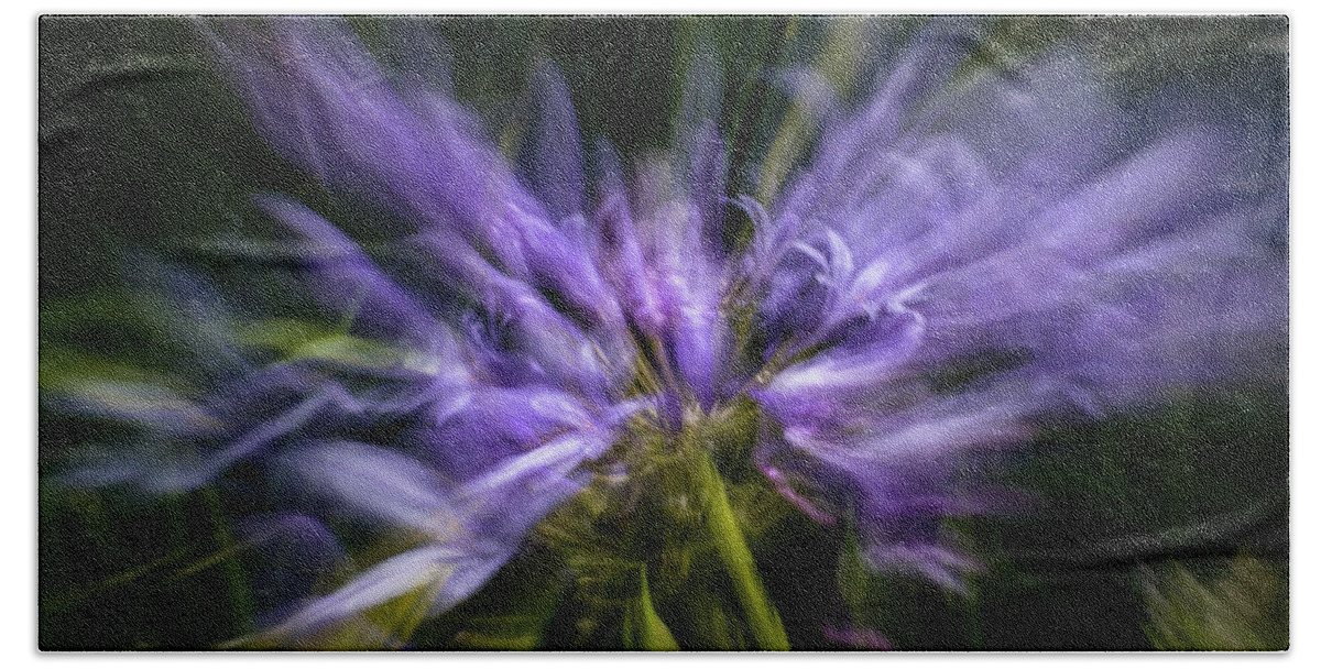 Agapanthus Bath Towel featuring the photograph Agapanthus Zoom by Linda Villers