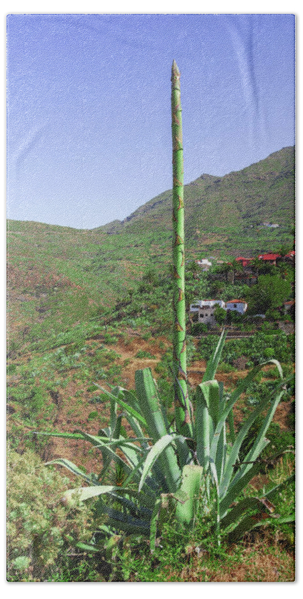 Agave Hand Towel featuring the photograph Agave with flower spear in Masca by Sun Travels