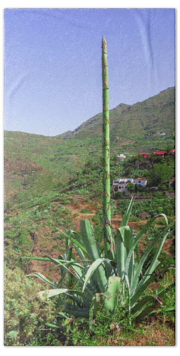 Agave Bath Towel featuring the photograph Agave with flower spear in Masca by Sun Travels