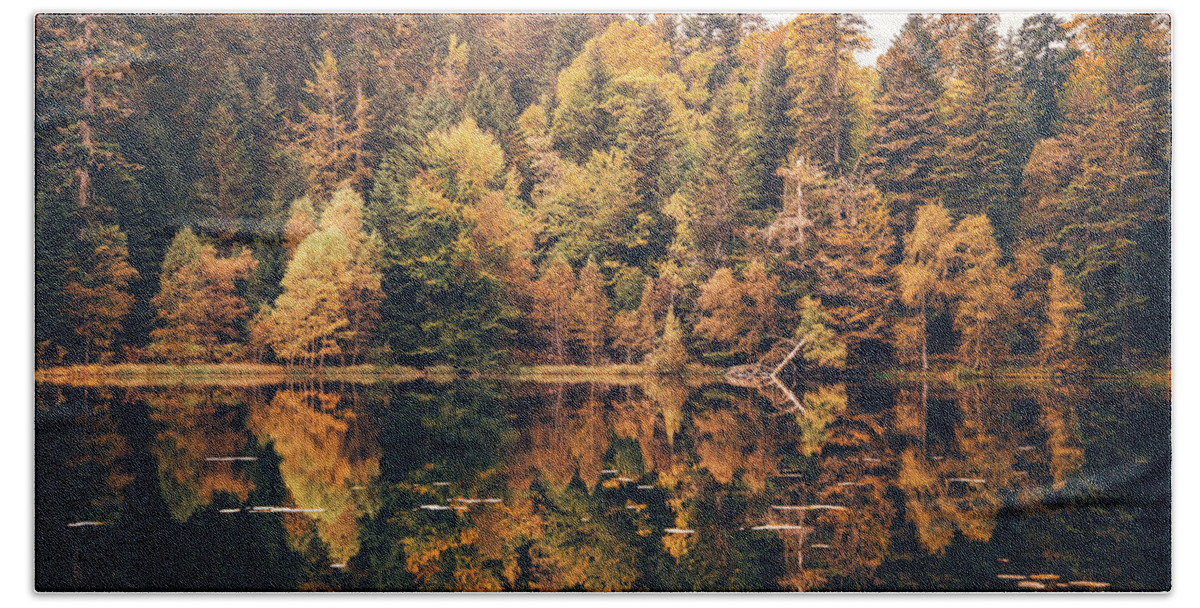 Forest Bath Towel featuring the photograph Aged Fall by Philippe Sainte-Laudy