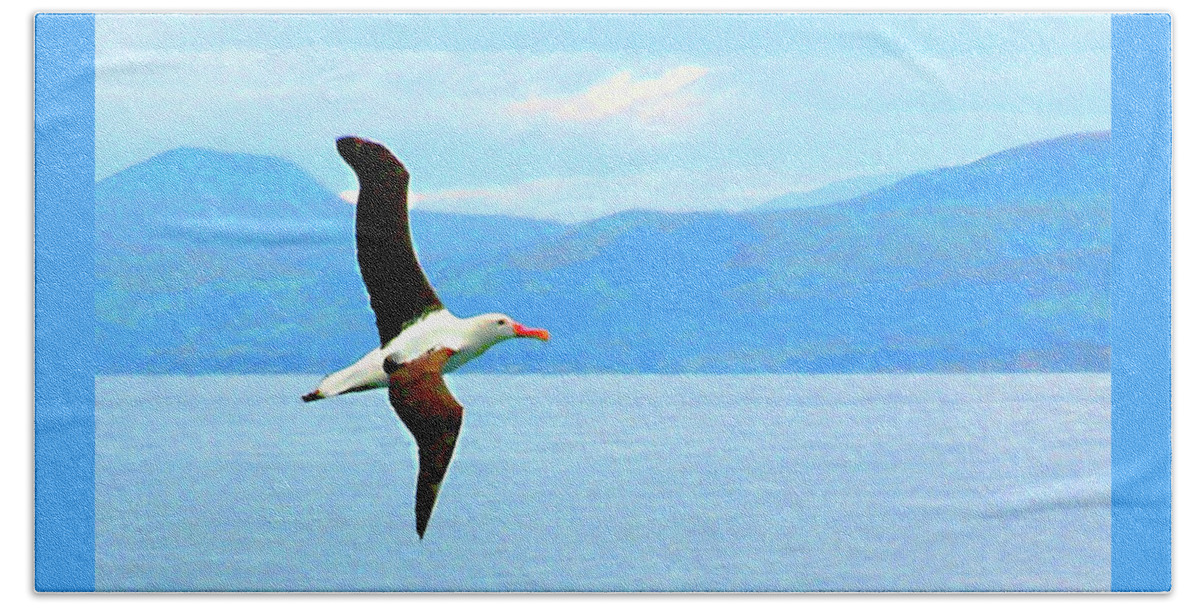 New Zealand Bath Towel featuring the photograph Albatross flying over Otago new Zealand by Sam Hall