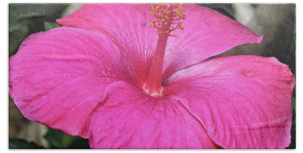 Flowers Hand Towel featuring the pyrography All Pink by Tony Spencer