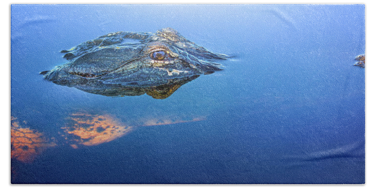 Alligator Panorama Hand Towel featuring the photograph Alligator Panorama by Mark Andrew Thomas