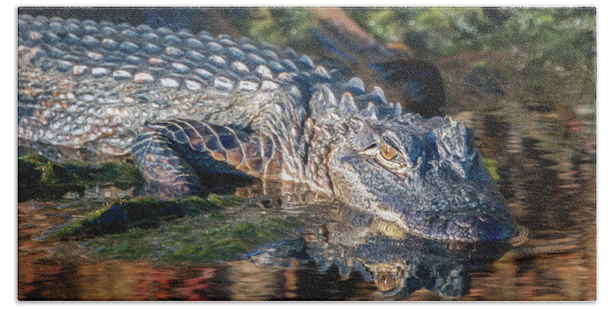 Alligator Hand Towel featuring the photograph Alligator Reflections by Jaki Miller