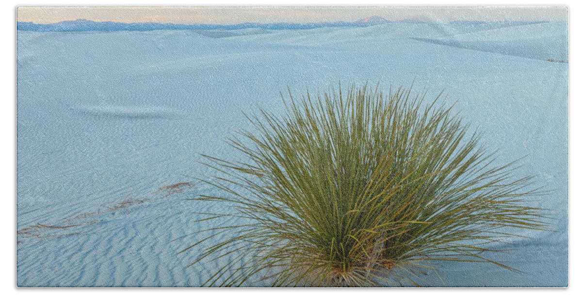 Sand Dunes Bath Towel featuring the photograph Alone In Desert by Jonathan Nguyen