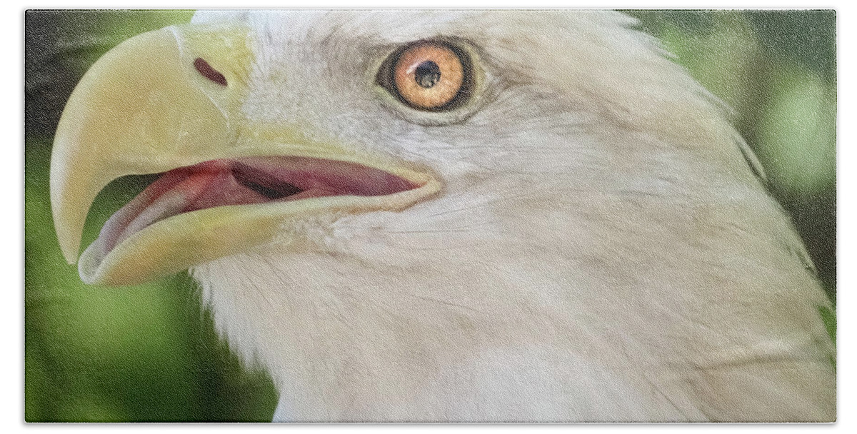Eagle Bath Towel featuring the photograph American Bald Eagle Portrait - Bright Eye by Patti Deters