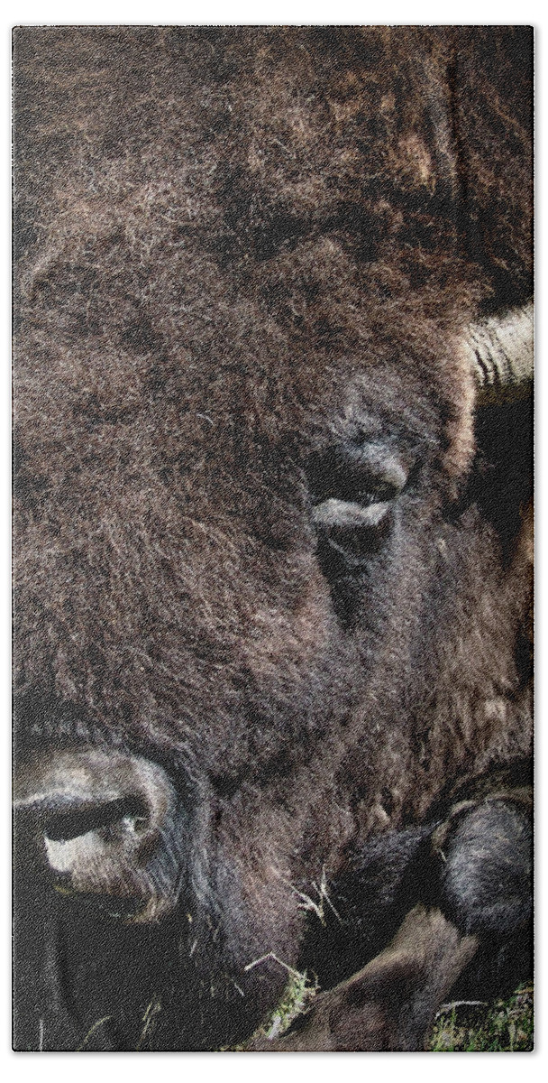 Buffalo Bath Towel featuring the photograph American Bison by Rene Vasquez