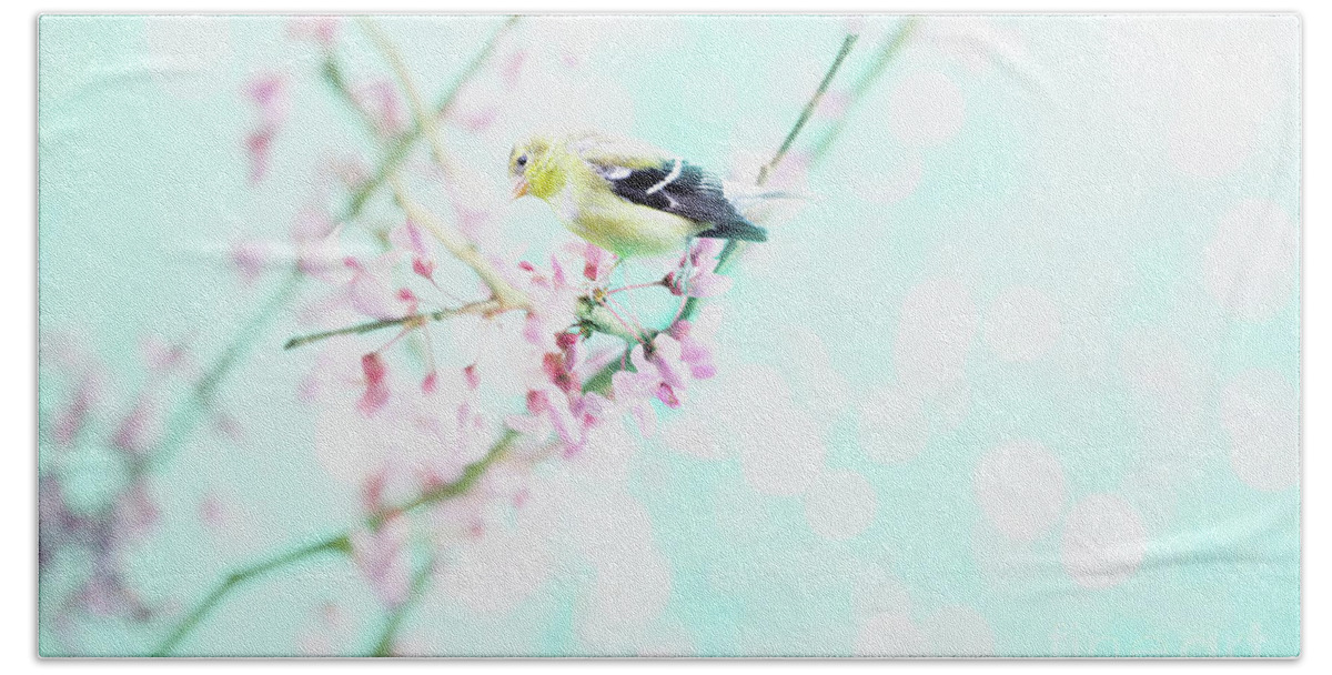 Flower Hand Towel featuring the photograph American Goldfinch in a Redbud Tree by Stephanie Frey