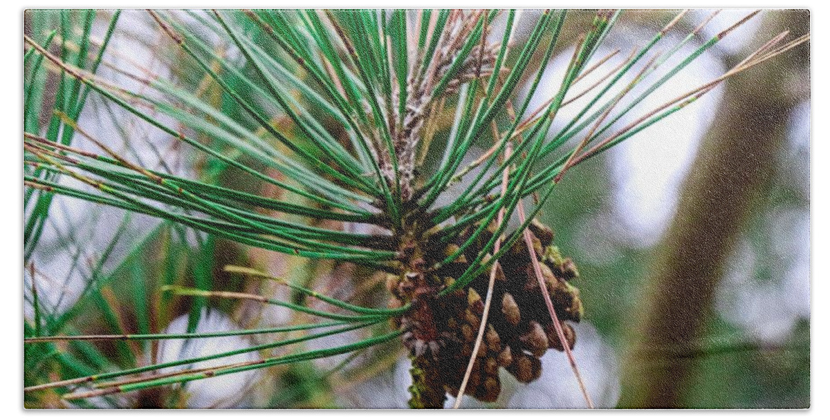 Pine cone hand towels sale