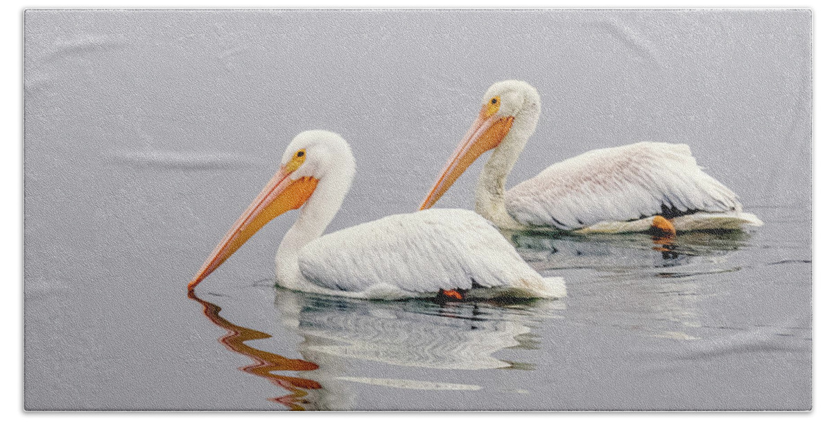 American White Pelicans Bath Towel featuring the photograph American White Pelican 8551-120522-2 by Tam Ryan