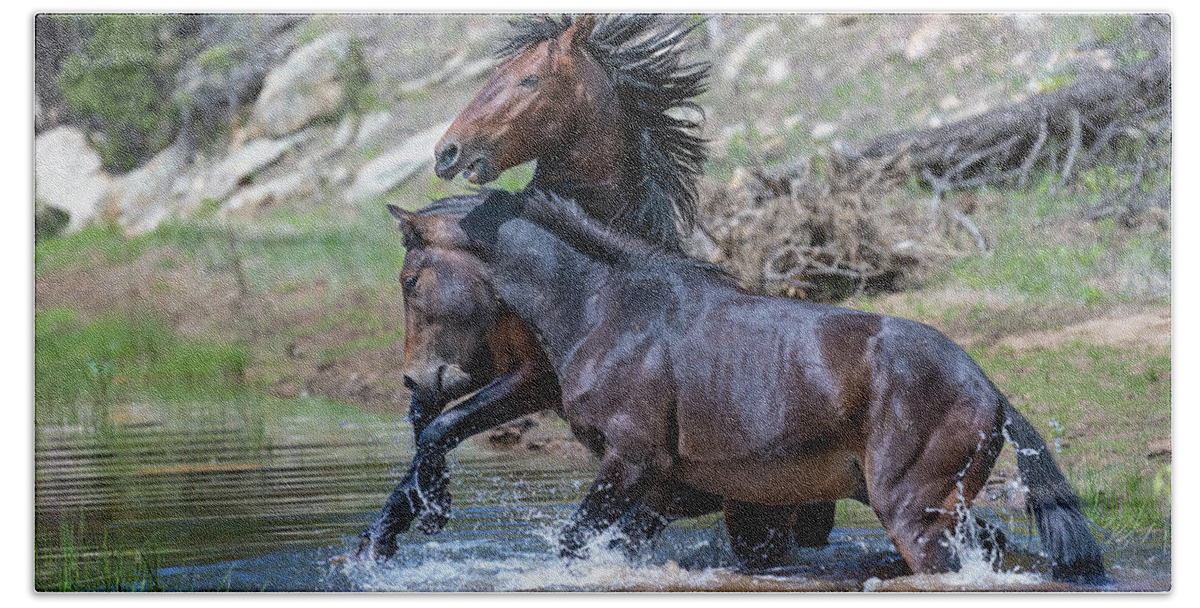 Stallion Bath Towel featuring the photograph An Aquatic Battle. by Paul Martin