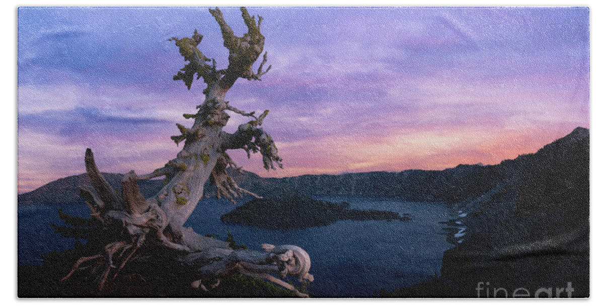 Crater Lake Bath Towel featuring the photograph Ancient Whitebark Pine by Michael Ver Sprill