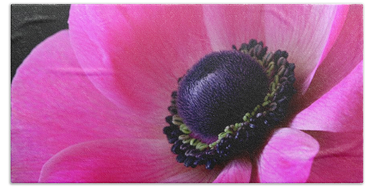 Macro Bath Towel featuring the photograph Anemone Pink by Julie Powell