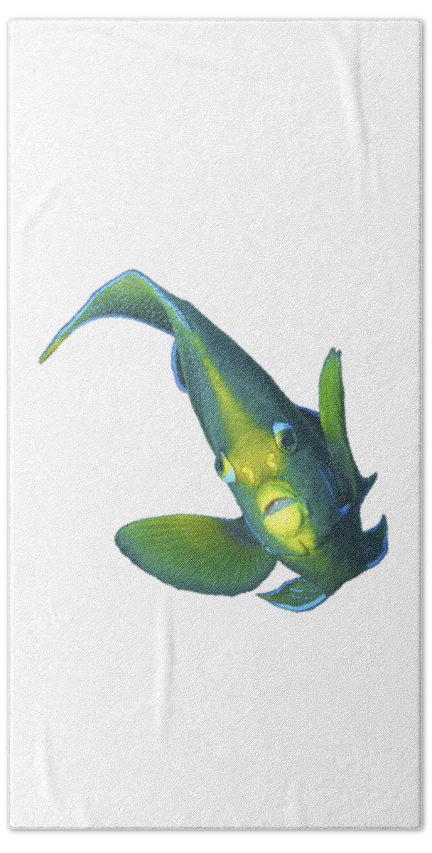 Angelfish Hand Towel featuring the mixed media Angelfish in motion - Close and intense - Reduced to the MAX - by Ute Niemann