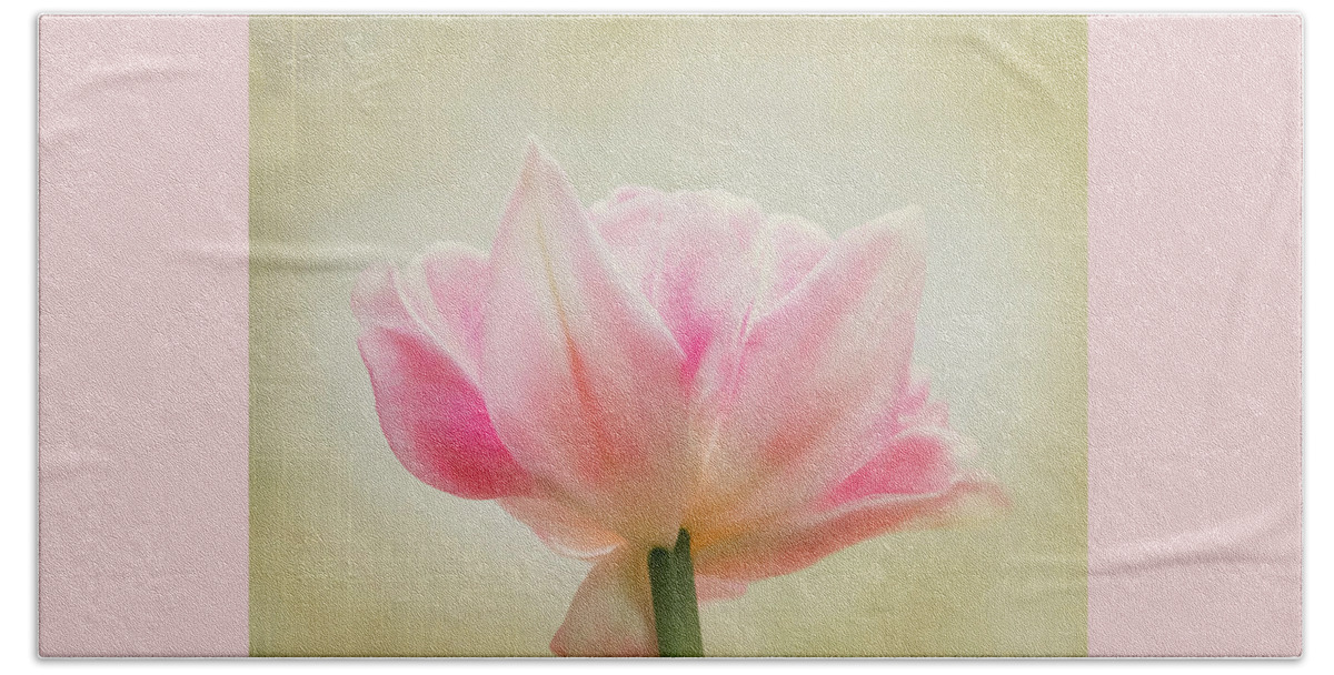 Flower Hand Towel featuring the photograph Angelique Peony Tulip #1 by Patti Deters