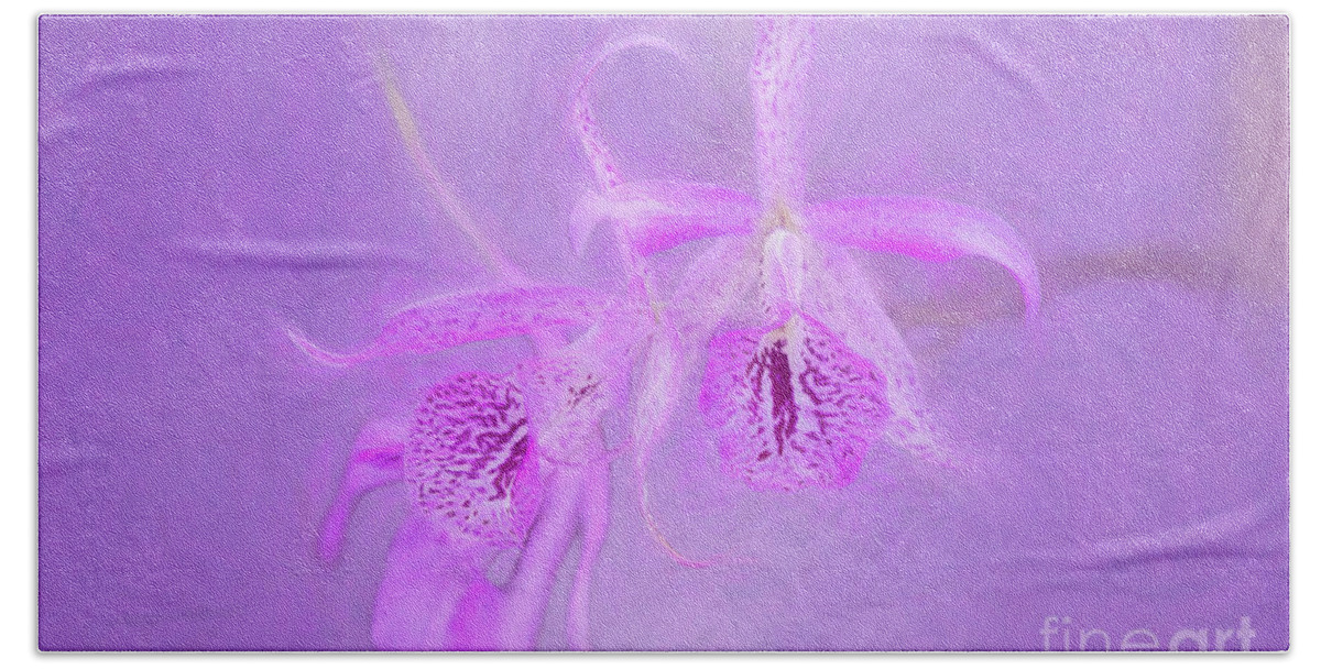 Art Hand Towel featuring the photograph Another Purple Orchid by Ed Taylor