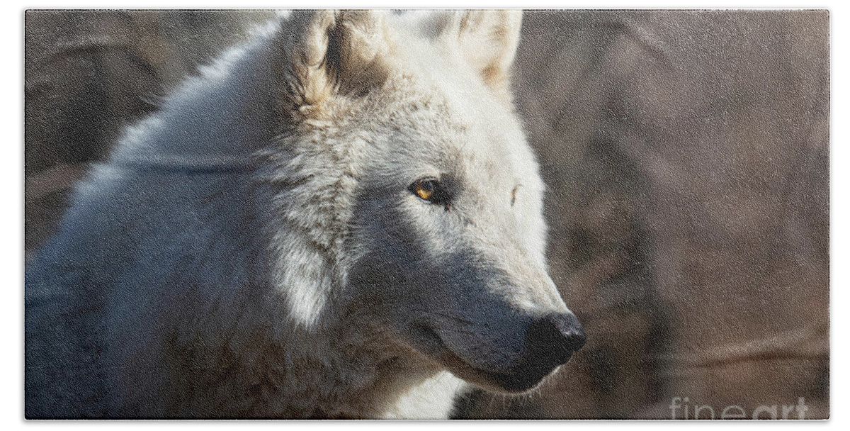 White Wolf Hand Towel featuring the photograph Arctic wolf - Portrait by Rehna George