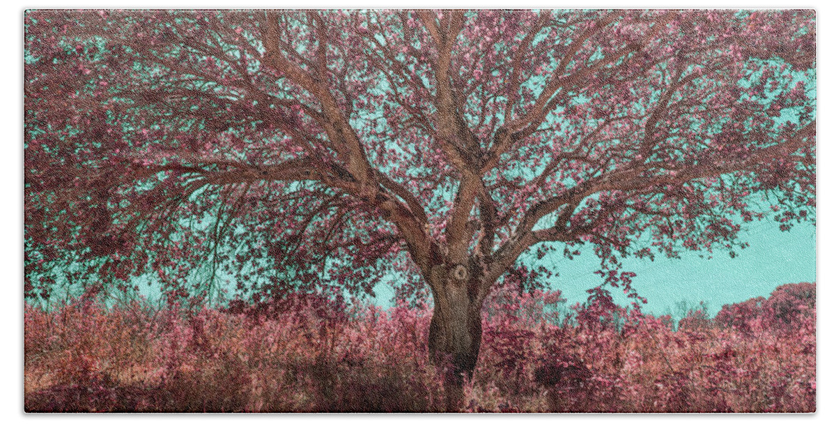 Trees. Nature Bath Towel featuring the photograph Arms Wide Open by Laurie Search