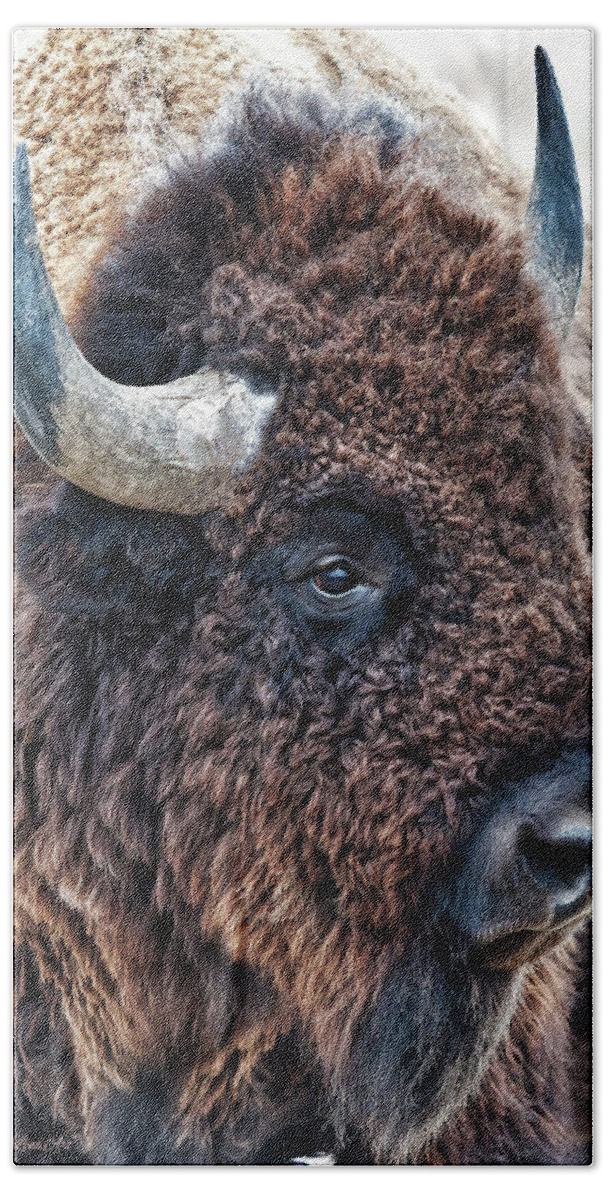 Lenaowens Hand Towel featuring the photograph Bison the Mighty Beast by OLena Art