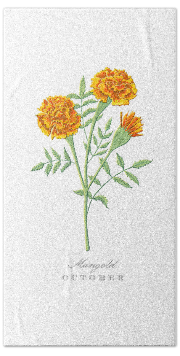 Marigold Bath Towel featuring the painting Marigold October Birth Month Flower Botanical Print on White - Art by Jen Montgomery by Jen Montgomery