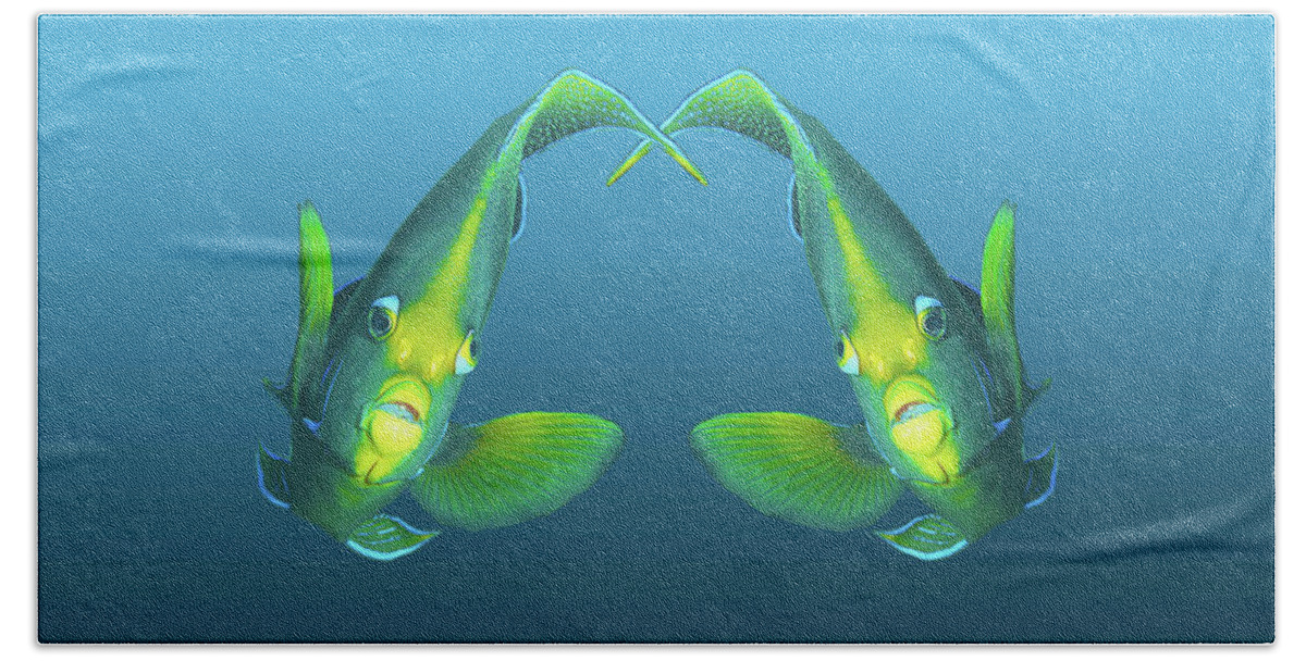 Angelfish Hand Towel featuring the mixed media Angelfish - Like a pair of twins on gradient blue - by Ute Niemann