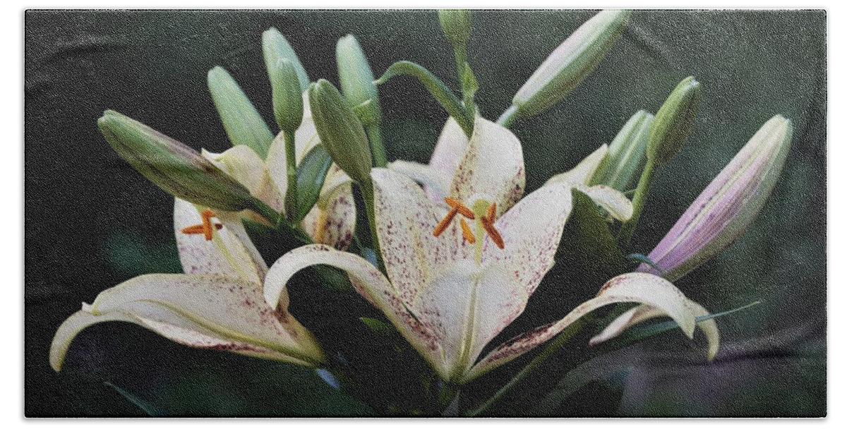 Lilies Bath Towel featuring the photograph Asiatic Lily Blossoms and Buds by Nancy Ayanna Wyatt