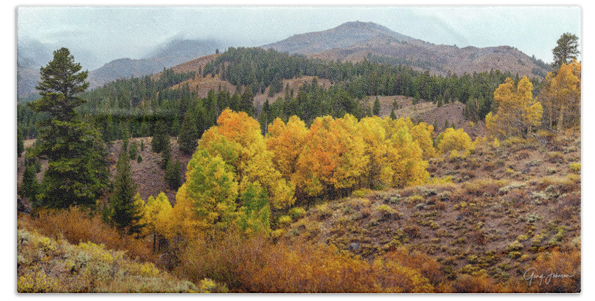 Fall-colors Hand Towel featuring the photograph Aspen Colors by Gary Johnson