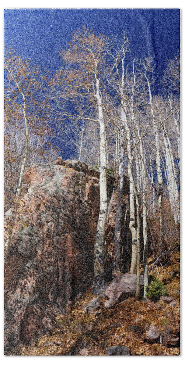 Santa Fe Bath Towel featuring the photograph Aspens Reach for the Sky by Stephen Anderson