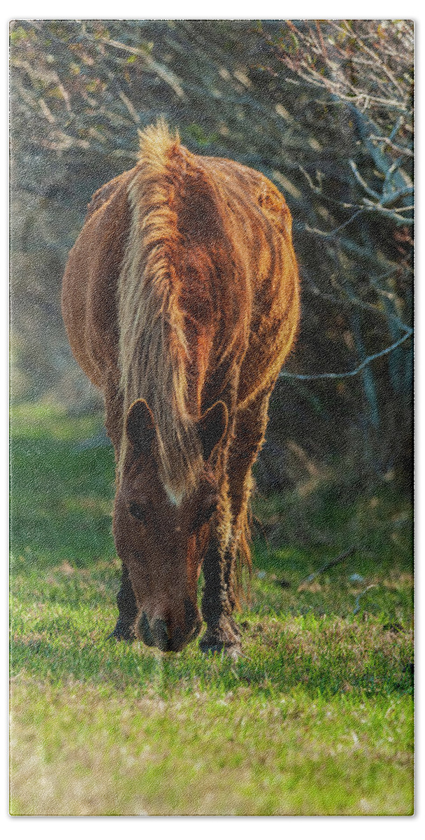 Assateague Ponies Bath Towel featuring the photograph Assateague Pony by Louis Dallara