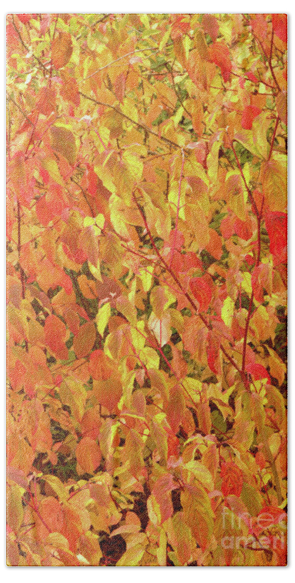 Nature Bath Towel featuring the photograph Autumn Abstract by Stephen Melia