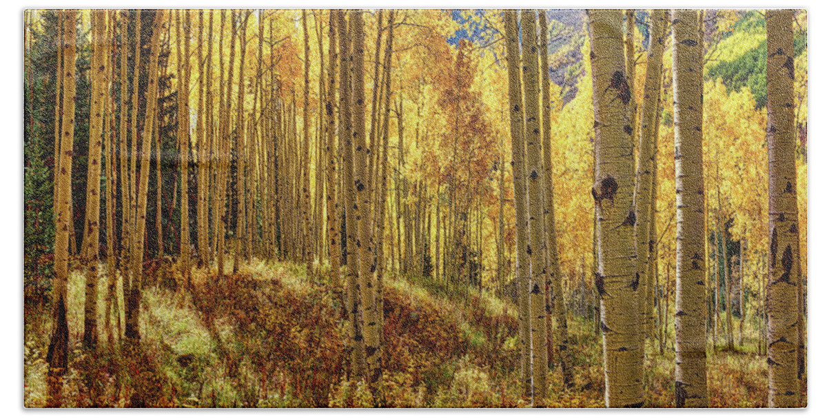 Aspen Hand Towel featuring the photograph Autumn Aspens Aspen Colorado Most Loved Trees Uncompahgre National Forest Fall Season by OLena Art