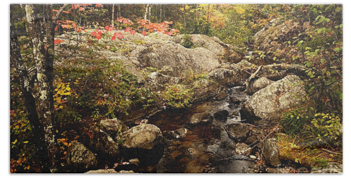 Landscape Hand Towel featuring the photograph Autumn at Dry Creek by Larry Ricker