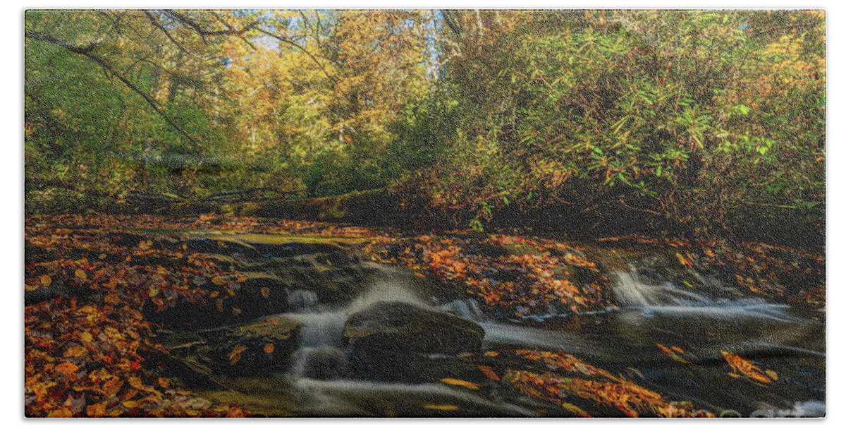 Stream Bath Towel featuring the photograph Autumn at Pinky Falls 2 by Ron Long Ltd Photography