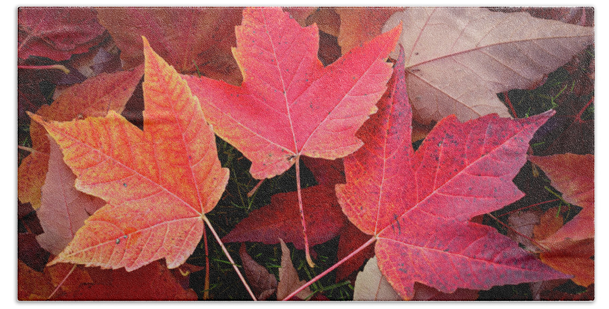 Nature Bath Towel featuring the digital art Autumn / Fall leaves Painting by Rick Deacon