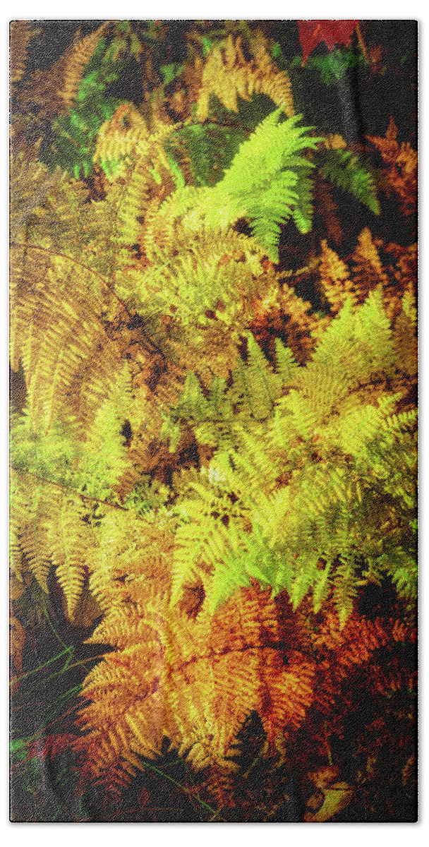 Fall Bath Towel featuring the photograph Autumn Ferns Glowing in the Blue Ridge Sun by Dan Carmichael