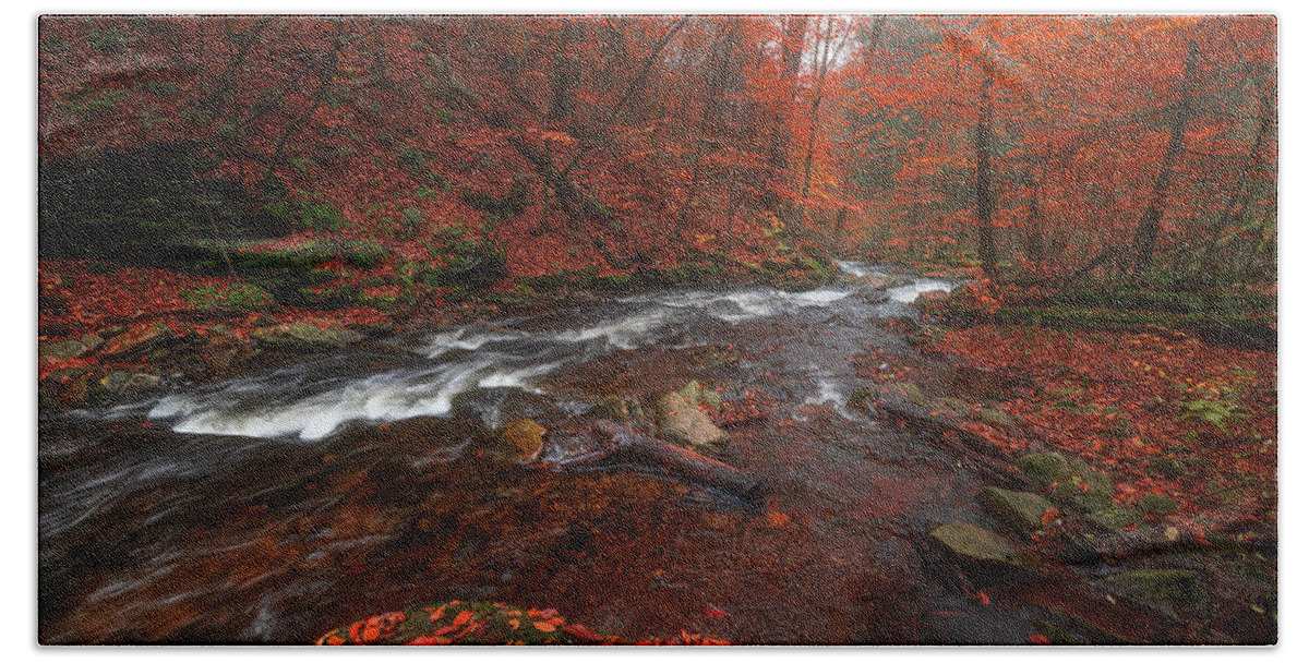 Fall Scenes Hand Towel featuring the photograph Autumn Fire by Darren White